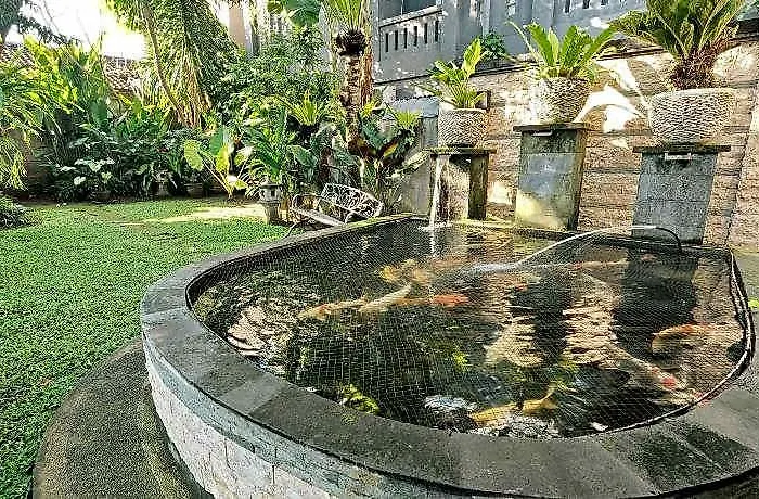 招待所 Sumantra House