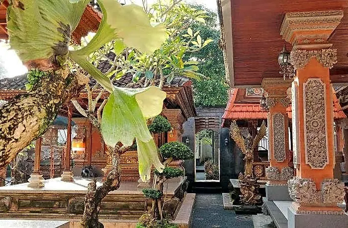 招待所 Sumantra House